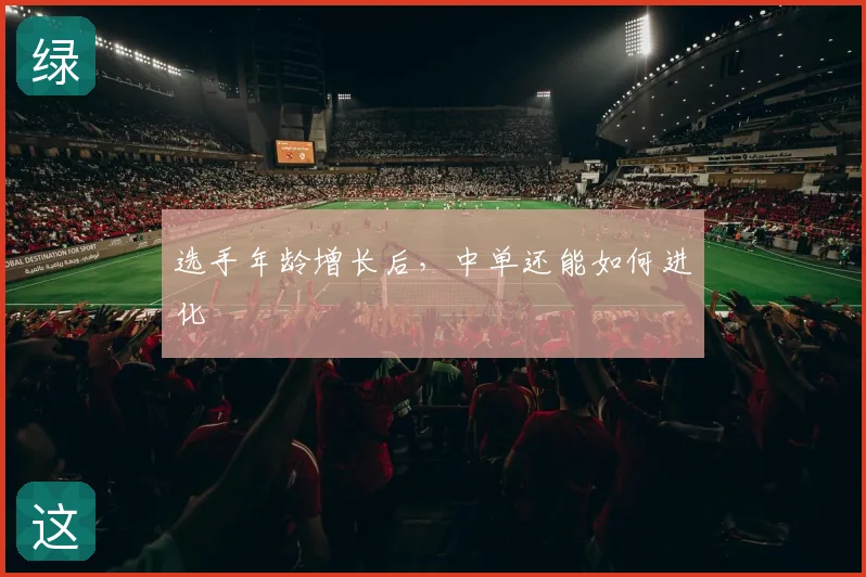 选手年龄增长后，中单还能如何进化