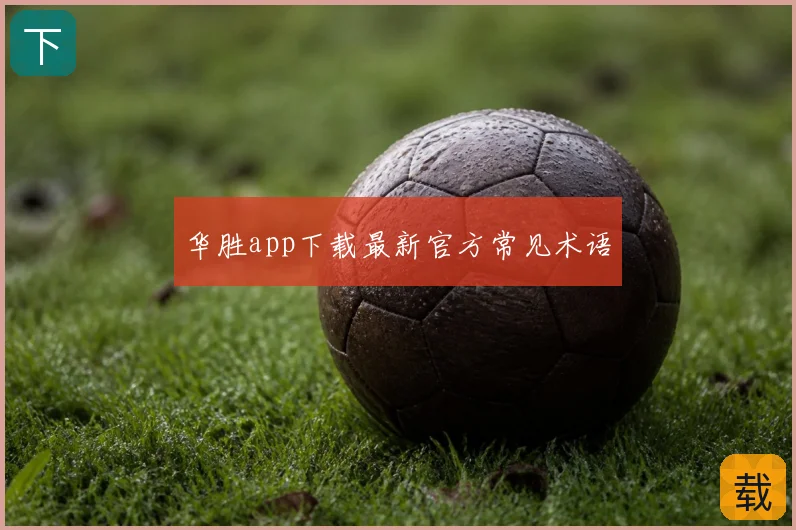 华胜app下载最新官方常见术语